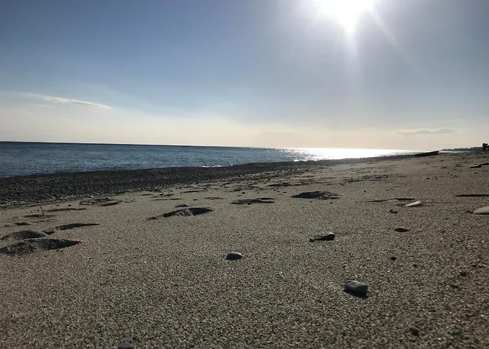 公寓 The Greek' House *